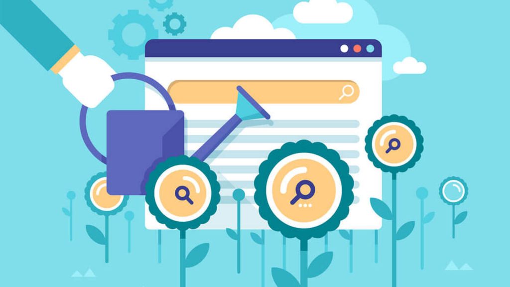 Website Search Ranking and Traffic